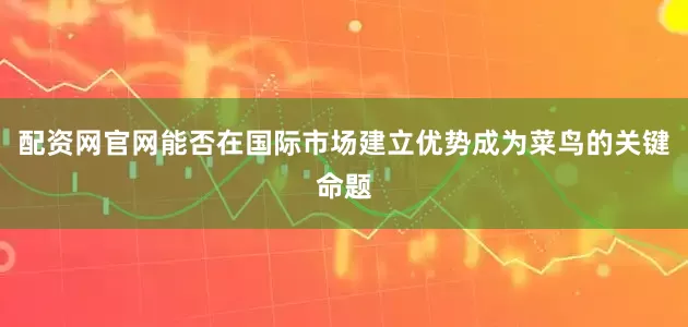 配资网官网能否在国际市场建立优势成为菜鸟的关键命题