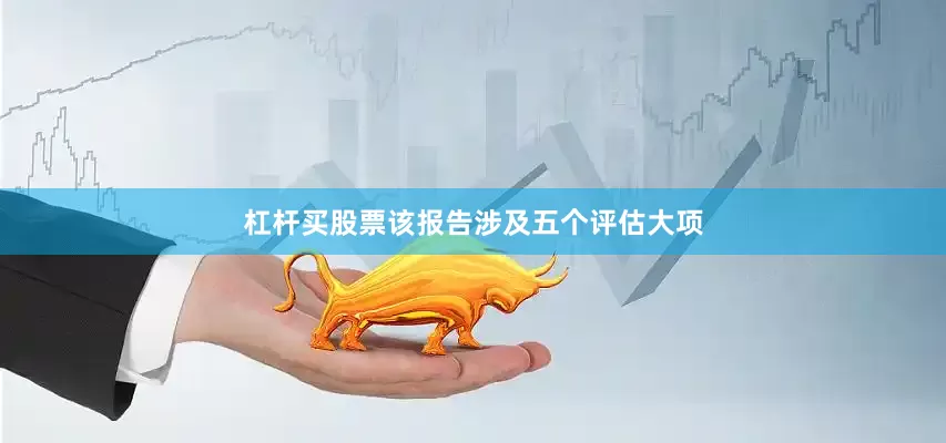 杠杆买股票该报告涉及五个评估大项