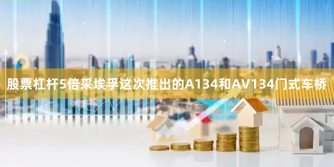 股票杠杆5倍采埃孚这次推出的A134和AV134门式车桥